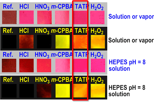 Color and fluorescence changes of membrane M5-1b with some acids and oxidants