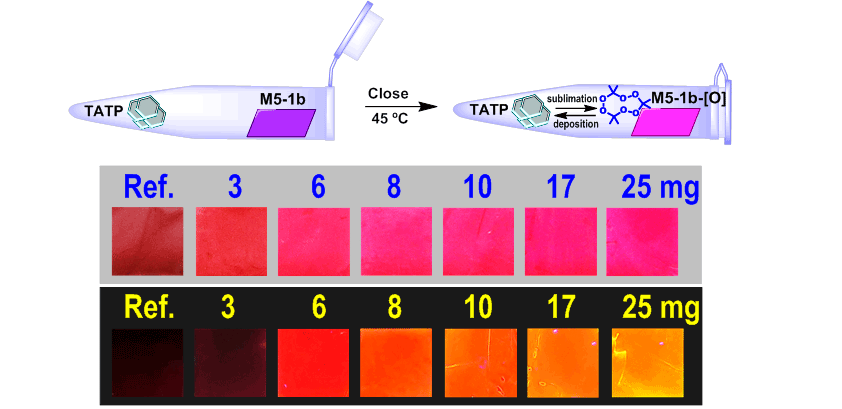 Exposing the M5-1b membrane to increasing amounts of solvent-free TATP